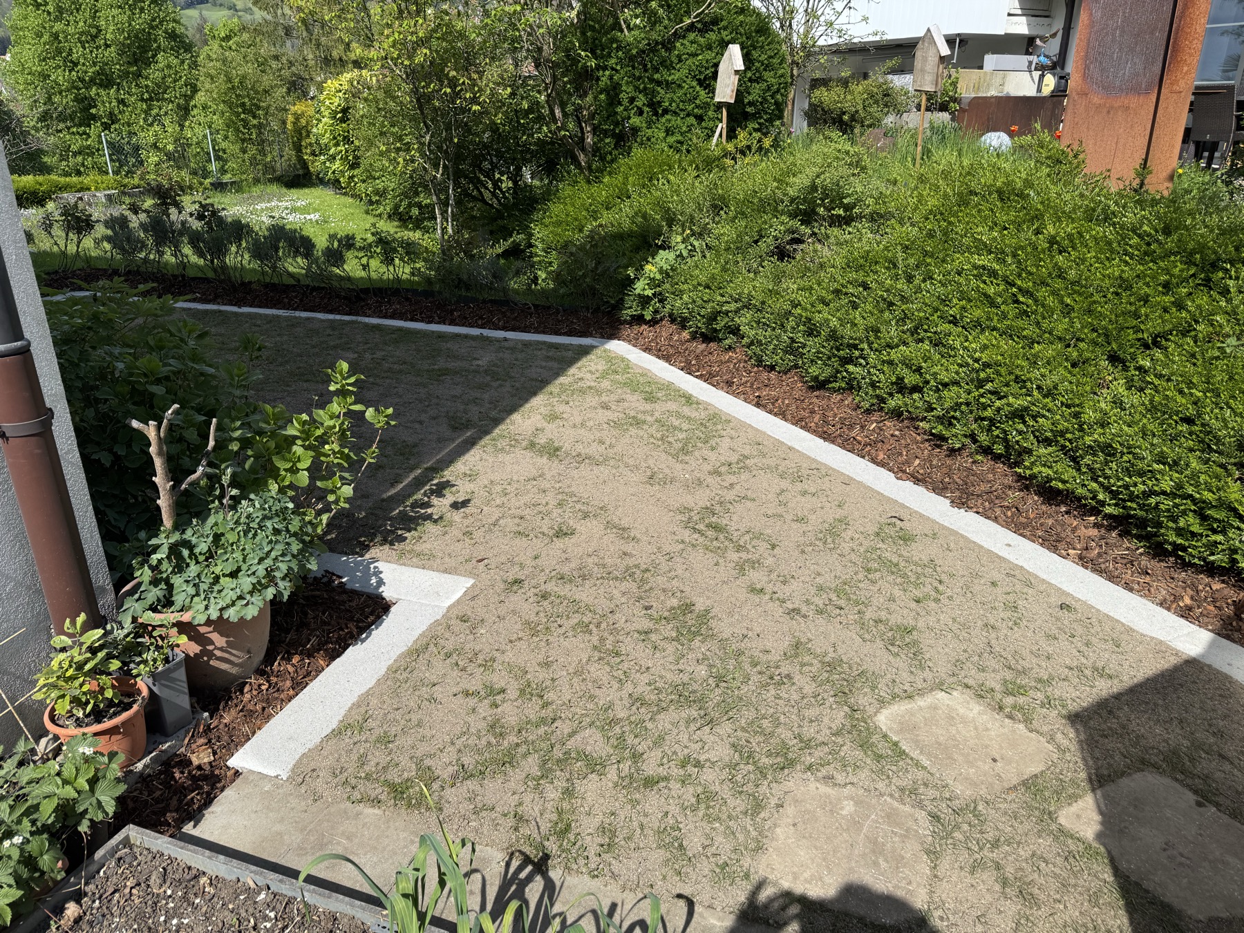 Hinterhof mit Plattenrahmen, Buchsbaum-Hecke und Stauden