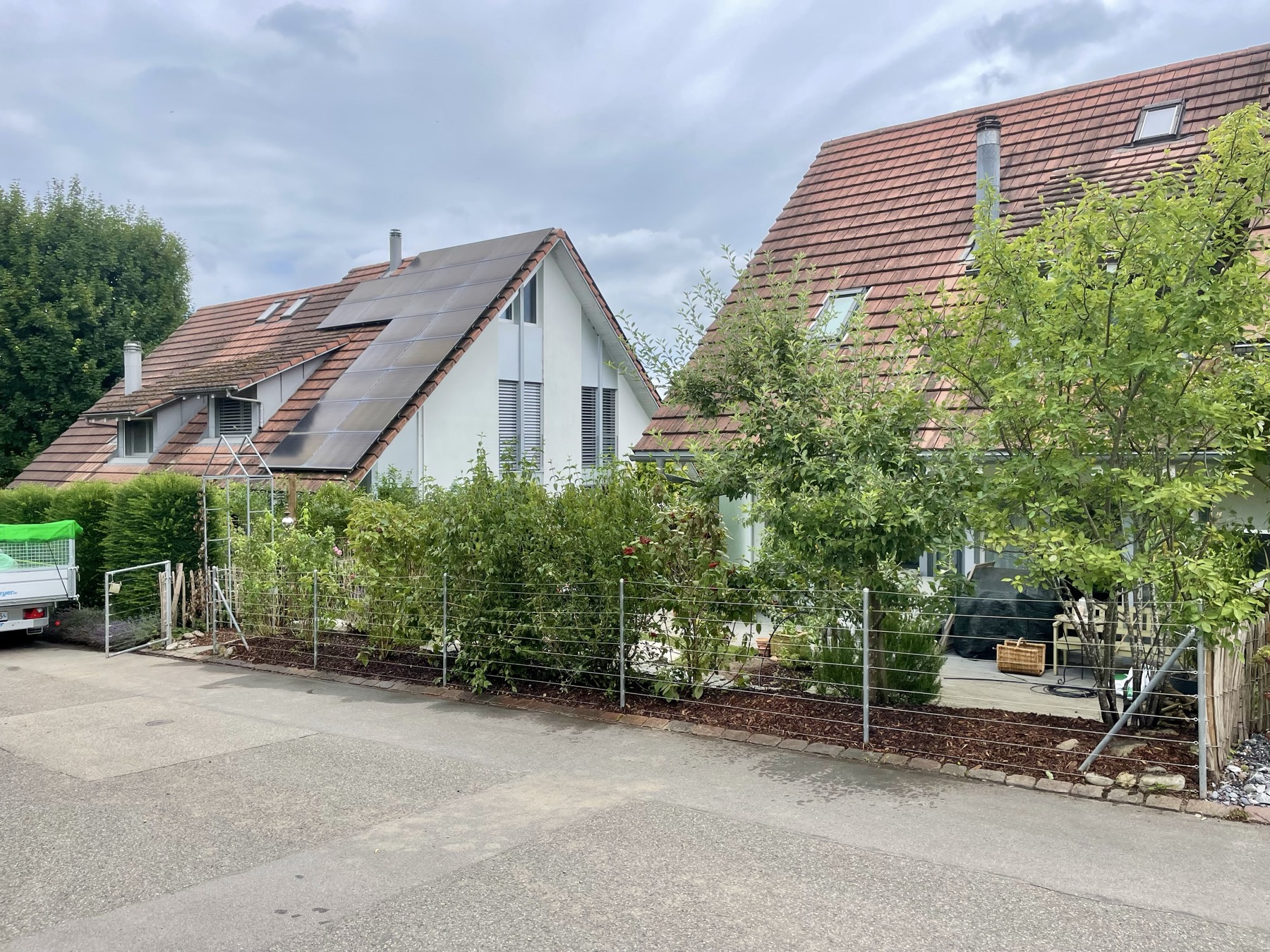 Vorgarten-Neupflanzung mit junger Buchsbaum-Hecke und Stauden-Beet